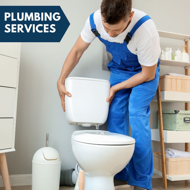 Plumbing Company in Coleman, MI